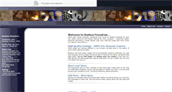 Desktop Screenshot of nashuafoundries.com